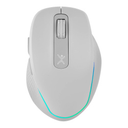 Mouse PERFECT CHOICE PC-044901
