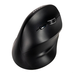 Mouse Naceb Technology NA-0130